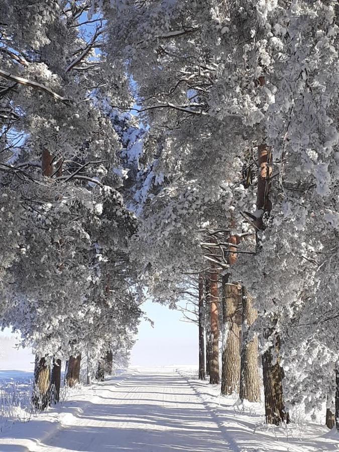 فندق Jokihovi Nivala المظهر الخارجي الصورة